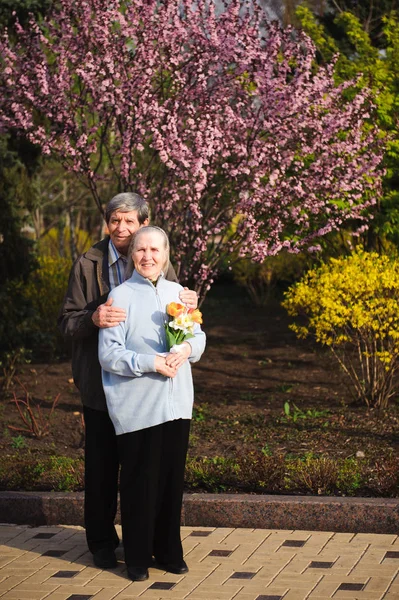 beautiful happy old people sitting in the autumn park