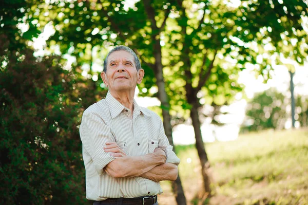 80 year old man posing in the summer park.