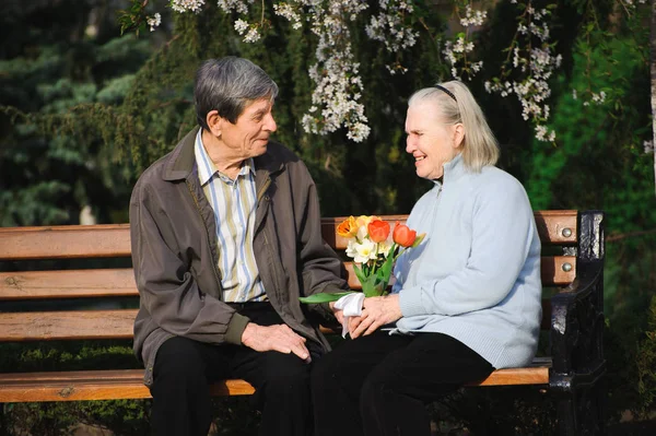 beautiful happy old people sitting in the autumn park