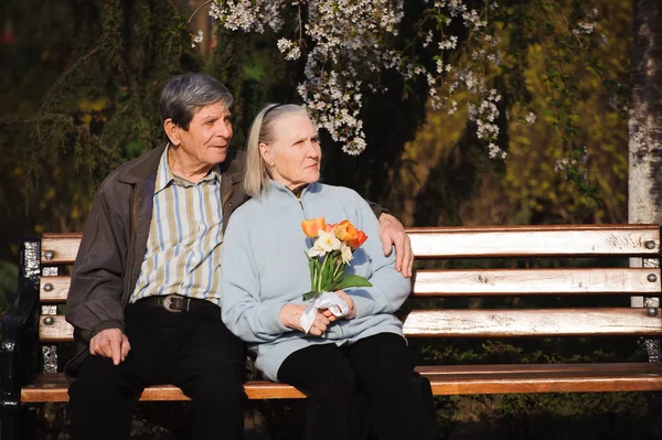 beautiful happy old people sitting in the autumn park