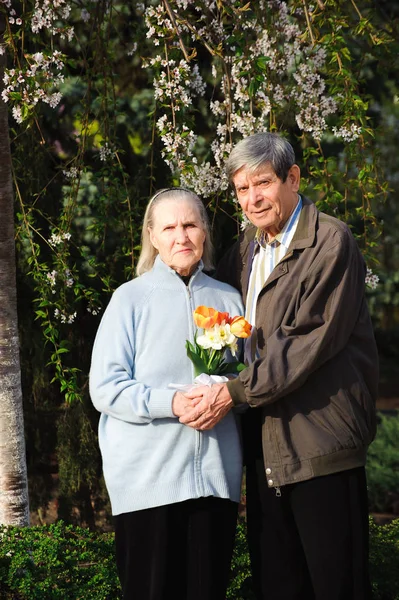 beautiful happy old people sitting in the autumn park