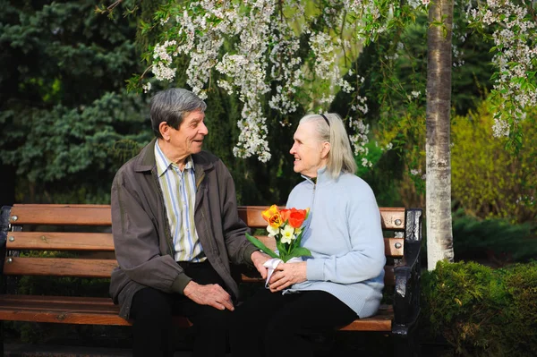 beautiful happy old people sitting in the spring park