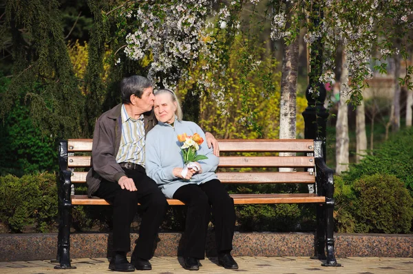 beautiful happy old people sitting in the spring park