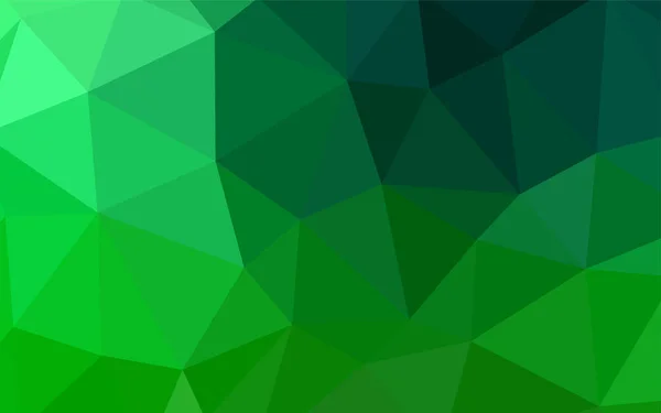 Vetor Verde Escuro Brilhante Tampa Triangular Ilustração Poligonal Brilhante Que —  Vetores de Stock