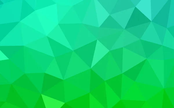 Světle Zelená Vektor Nízké Poly Krytu Geometrické Zobrazení Stylu Origami — Stockový vektor