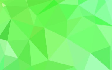 Işık yeşil vektör poligonal arka plan. Tamamen yeni bir renk illüstrasyon poligonal bir tarzda. Web siteniz için köşeli tasarım.