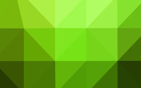 Világos Zöld Vektor Alacsony Poly Elrendezés Ragyogó Színű Illusztráció Stílusban — Stock Vector