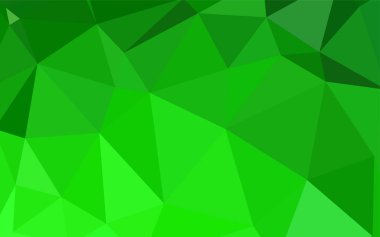 Işık yeşil vektör zemin Çokgen. Üçgenler ile renkli resimde parlayan. Web siteniz için yeni bir doku.