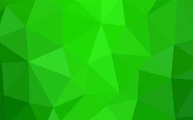 Işık yeşil vektör poligonal model. Poligonal illüstrasyon parlayan, hangi üçgen oluşur. İş tasarımınız için yeni stil.