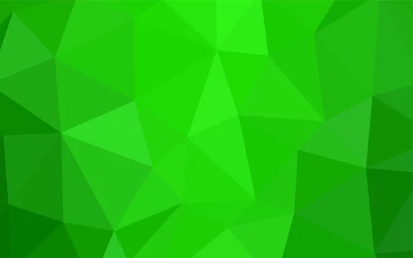 Ljus Grön Vector Polygonal Mönster Lysande Polygonal Illustration Som Består — Stock vektor