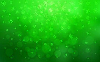 Açık yeşil vektör düzeni ve parlak kar taneleri. Buz kristalleri ile soyut resimleme. Bu kalıp yeni yıl broşürleri için kullanılabilir.