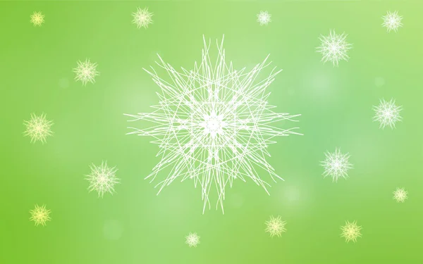 Licht Groen Vector Lay Out Met Heldere Sneeuwvlokken Decoratieve Afbeelding — Stockvector