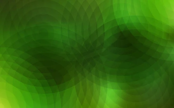 Hellgrüner Vektorhintergrund Mit Blasen Schöne Farbige Illustration Mit Verschwommenen Kreisen — Stockvektor