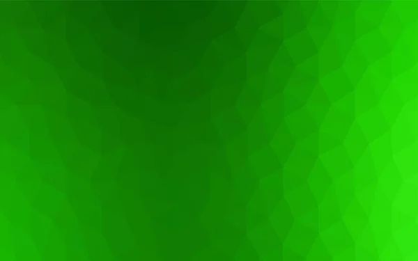 Lumina Verde Vector Poligon Fundal Abstract Ilustrație Poligonală Luminoasă Elegantă — Vector de stoc