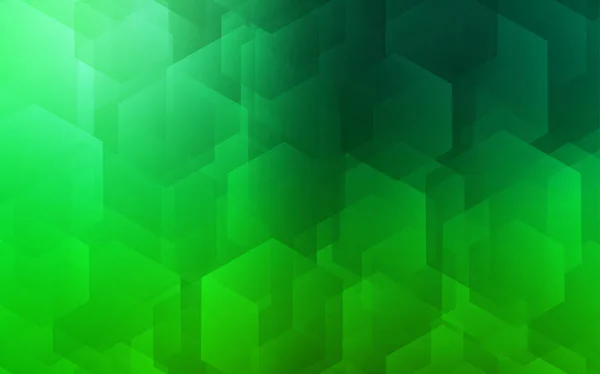 Fond Vectoriel Vert Foncé Avec Hexagones Illustration Avec Ensemble Hexagones — Image vectorielle