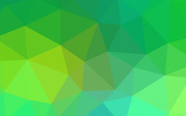 Světle Zelené Vektor Mnohoúhelník Abstraktní Pozadí Elegantní Světlé Polygonální Ilustrace — Stockový vektor