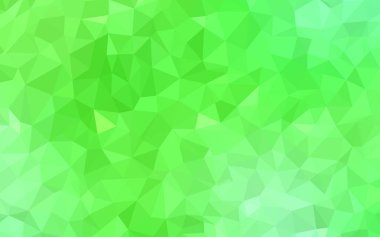 Işık yeşil vektör poligonal model. Tamamen yeni bir renk illüstrasyon poligonal bir tarzda. Tasarımınız için üçgen desen.