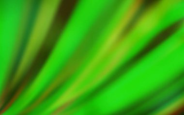 Açık yeşil vektör şablon bulanık. Degrade ile bulanıklık tarzında yeni renkli Illustration. Tasarımınızın yeni yolu.