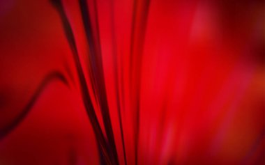 Koyu kırmızı vektör soyut parlak şablon. Degrade ile bulanıklık tarzında yeni renkli Illustration. Tasarımınızın yeni yolu.