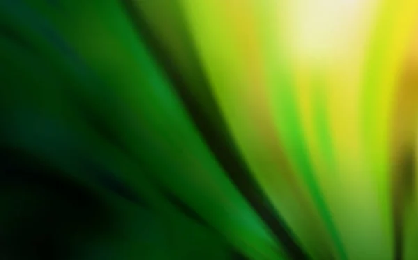 Темно Зеленый Красный Вектор Красочная Абстрактная Иллюстрация Градиентом Размытый Дизайн — стоковый вектор