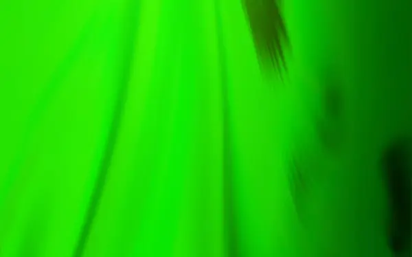 Licht Groene Vector Glanzende Abstracte Achtergrond Een Volledig Nieuwe Gekleurde — Stockvector