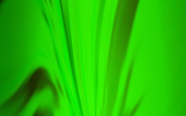 Açık yeşil vektör parlak şablon bulanık. Degrade tasarımı ile glitter soyut illüstrasyon. Marka defteriniz için yeni stil tasarımı.