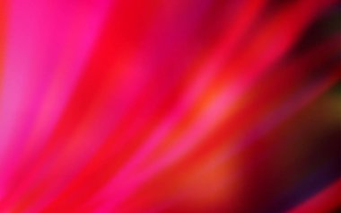 Açık kırmızı vektör modern zarif düzeni.