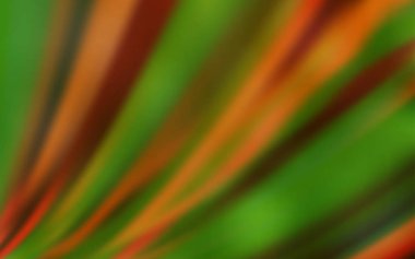 Açık Turuncu vektör parlaklığı soyut arkaplanı bulanıklaştırdı.