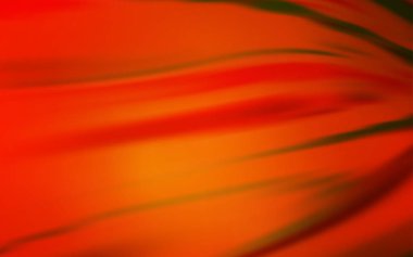 Açık Kırmızı vektör bulanık arkaplan.