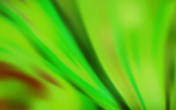 Ljusgrön Vektor Suddig Glans Abstrakt Bakgrund Kreativ Illustration Halvton Stil — Stock vektor