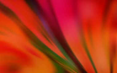 Açık kırmızı vektör bulanık şablon.