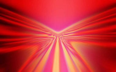 Kavisli çizgilerle Açık Kırmızı vektör düzeni.