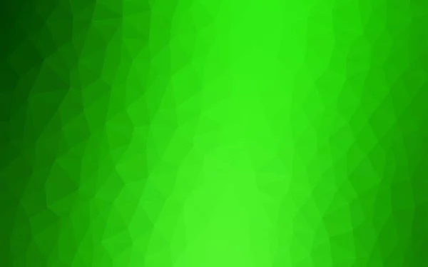 Světle zelená vektorová textura s nízkým poly. — Stockový vektor