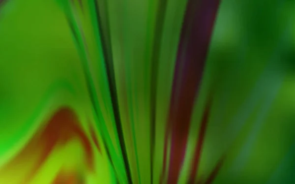 Verde chiaro vettore colorato sfondo sfocatura. — Vettoriale Stock