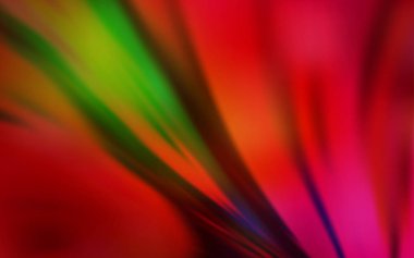 Koyu yeşil, kırmızı vektör soyut parlak desen.