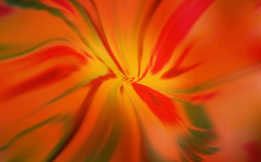 Koyu Kırmızı, Kavisli çizgilerle sarı vektör dokusu.