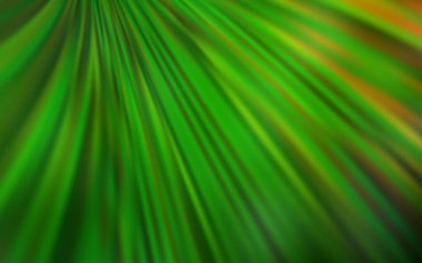 Açık Yeşil vektör renkli bulanık arkaplan.