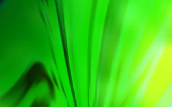 Ljusgrön vektor suddig bakgrund. — Stock vektor