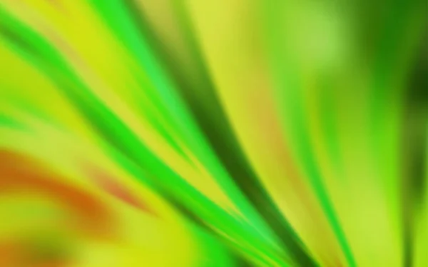 Verde claro, vector amarillo abstracto fondo borroso. — Archivo Imágenes Vectoriales