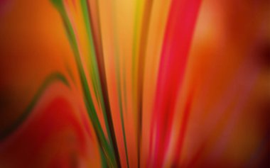 Açık Kırmızı vektör soyut bulanık arkaplan.