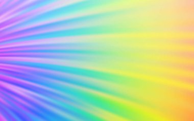 Kavisli çizgilerle açık çok renkli vektör düzeni.