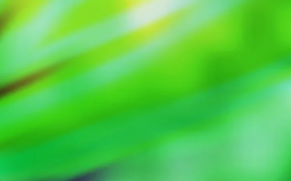 Plantilla borrosa vector verde claro. — Vector de stock
