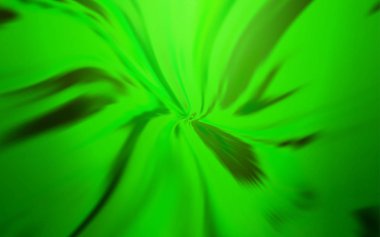 Kavisli çizgilerle Açık Yeşil vektör düzeni.