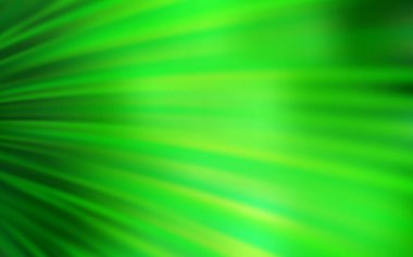 Bükülmüş çizgilerle Açık Yeşil vektör düzeni.