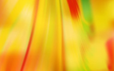 Açık Turuncu vektör arkaplanı bulanıklaştırdı.