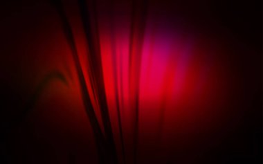 Koyu kırmızı vektör bulanık ve desen renkli.