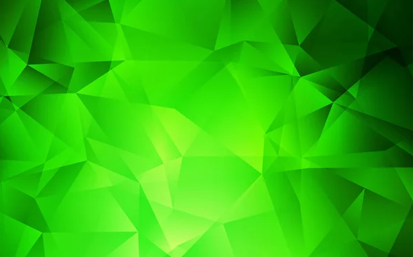 Plantilla poligonal vectorial verde claro. — Vector de stock