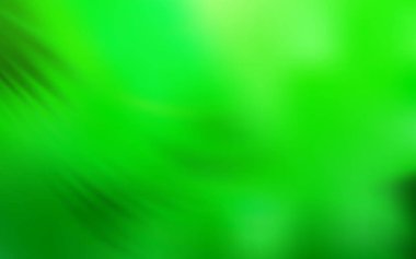 Açık Yeşil vektör renkli bulanıklık arka plan.