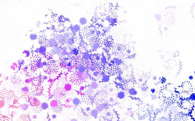 Açık Mor, pembe vektör, çiçekli zarif duvar kağıdı, güller. Beyaz arka planda doğal bir çiçek. İşiniz için yepyeni bir tasarım..