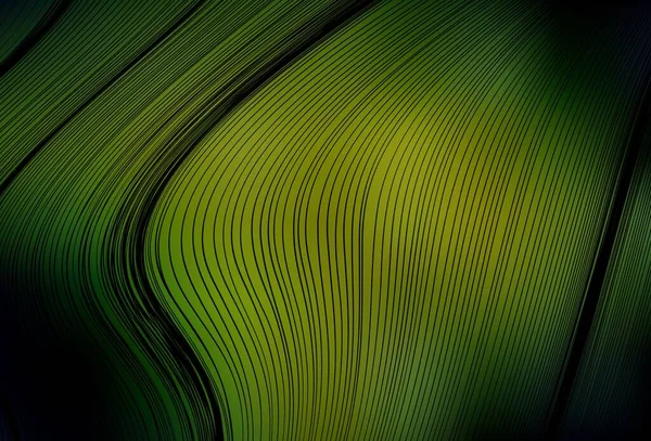 Verde Oscuro Vector Amarillo Abstracto Brillante Plantilla Ilustración Abstracta Moderna — Vector de stock